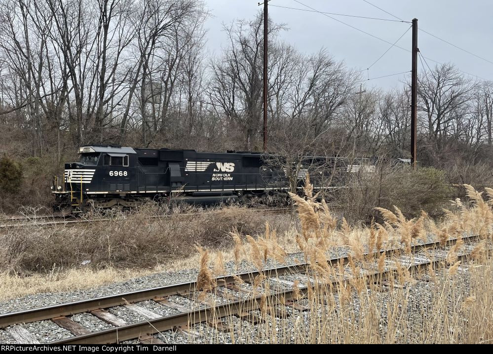 NS 6968 leading K40